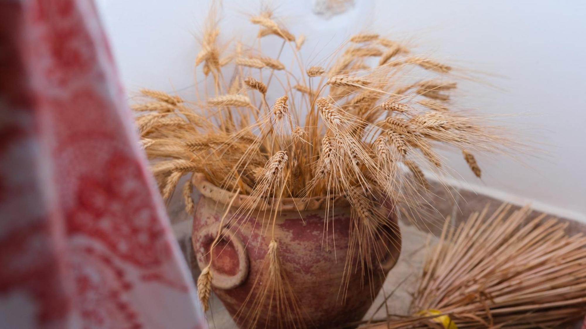 مبيت وإفطار رودي غارغانيكو I Frangiventi المظهر الخارجي الصورة